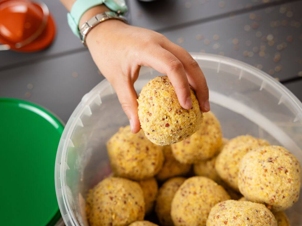 A hand reaching into a plastic container filled with multiple suet balls for birds, picking up one ball.