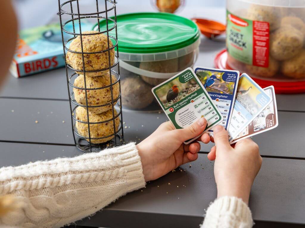 A person holding several bird-themed collection cards next to a suet feeder and a container of suet balls on a table.