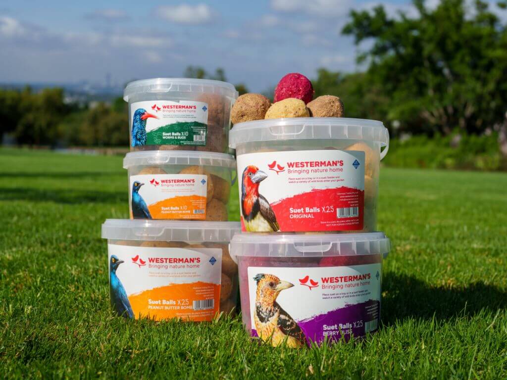 A display of Westerman’s suet ball tubs in Original, Peanut Butter, Berry Bliss, and Worms & Bugs flavours on a lawn.