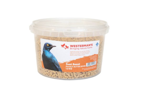Suet Boost