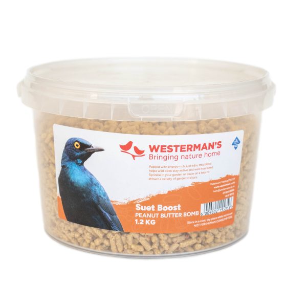 Suet Boost