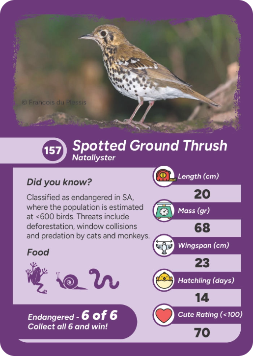 endangered-bird-01