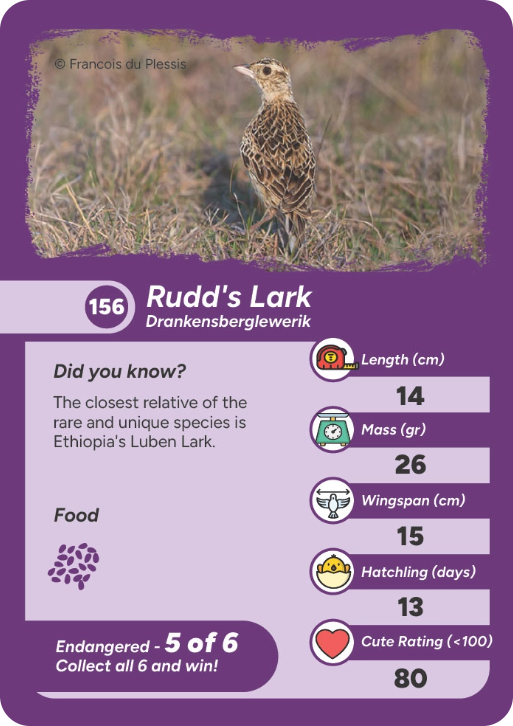 endangered-bird-02