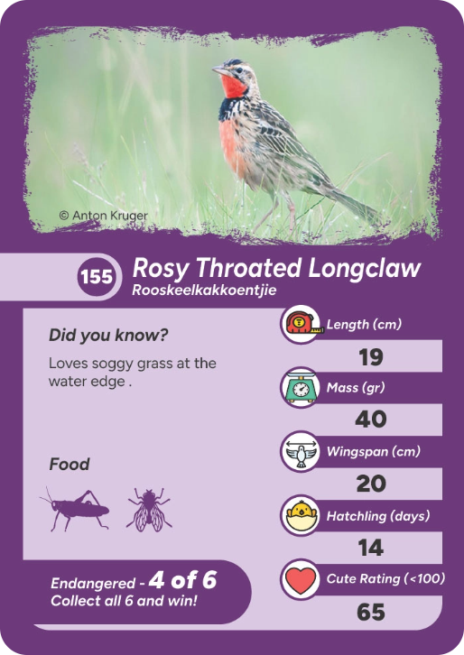 endangered-bird-03