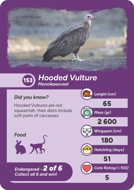endangered-bird-04