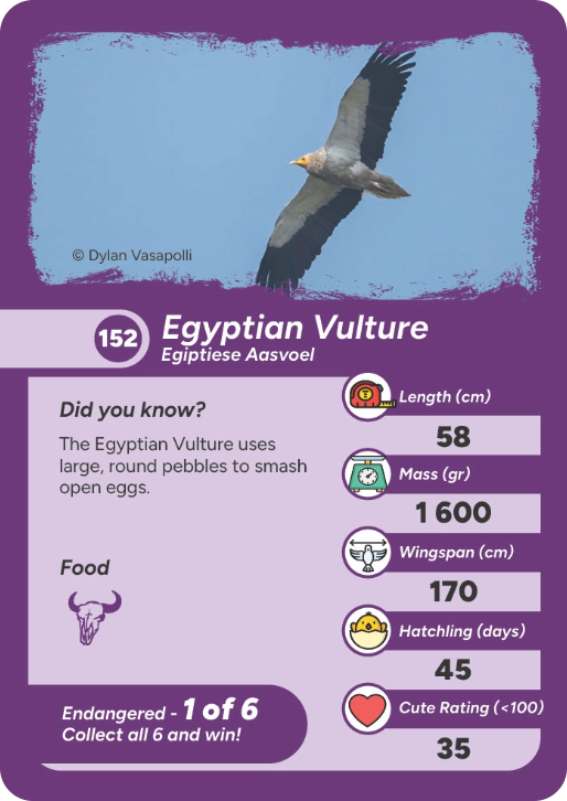 endangered-bird-05