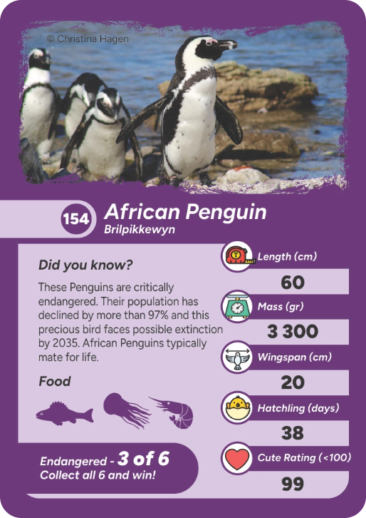 endangered-bird-06