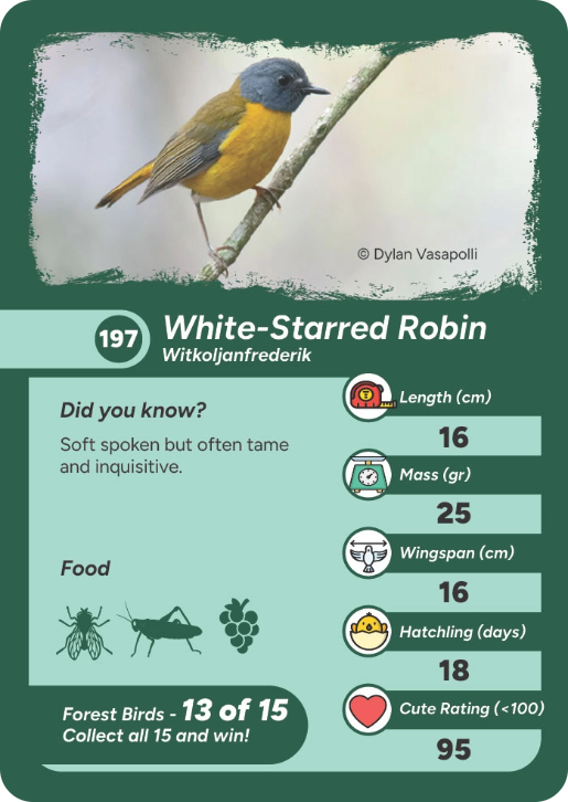 forest-bird-05