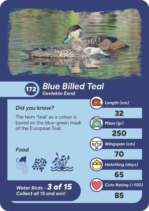 water-bird-03
