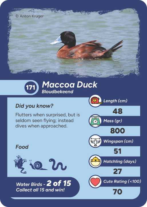 water-bird-06