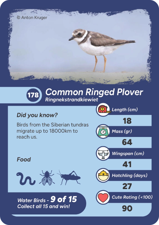 water-bird-13