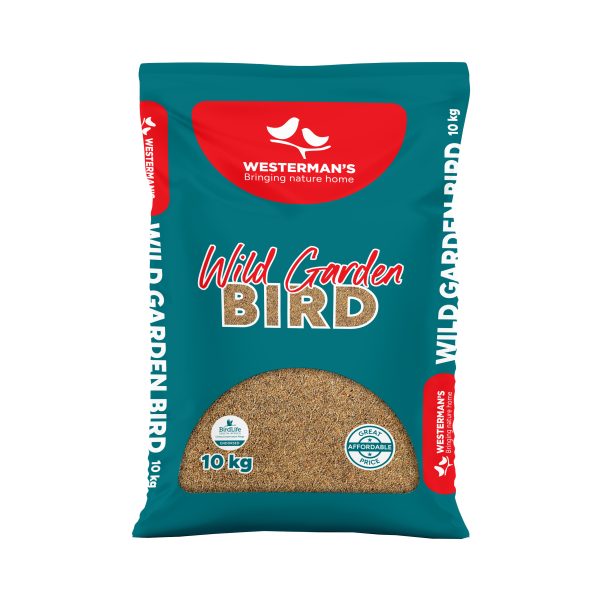 Wild Garden Bird